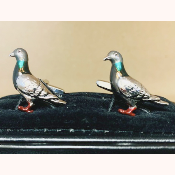 鳩くんの日常
