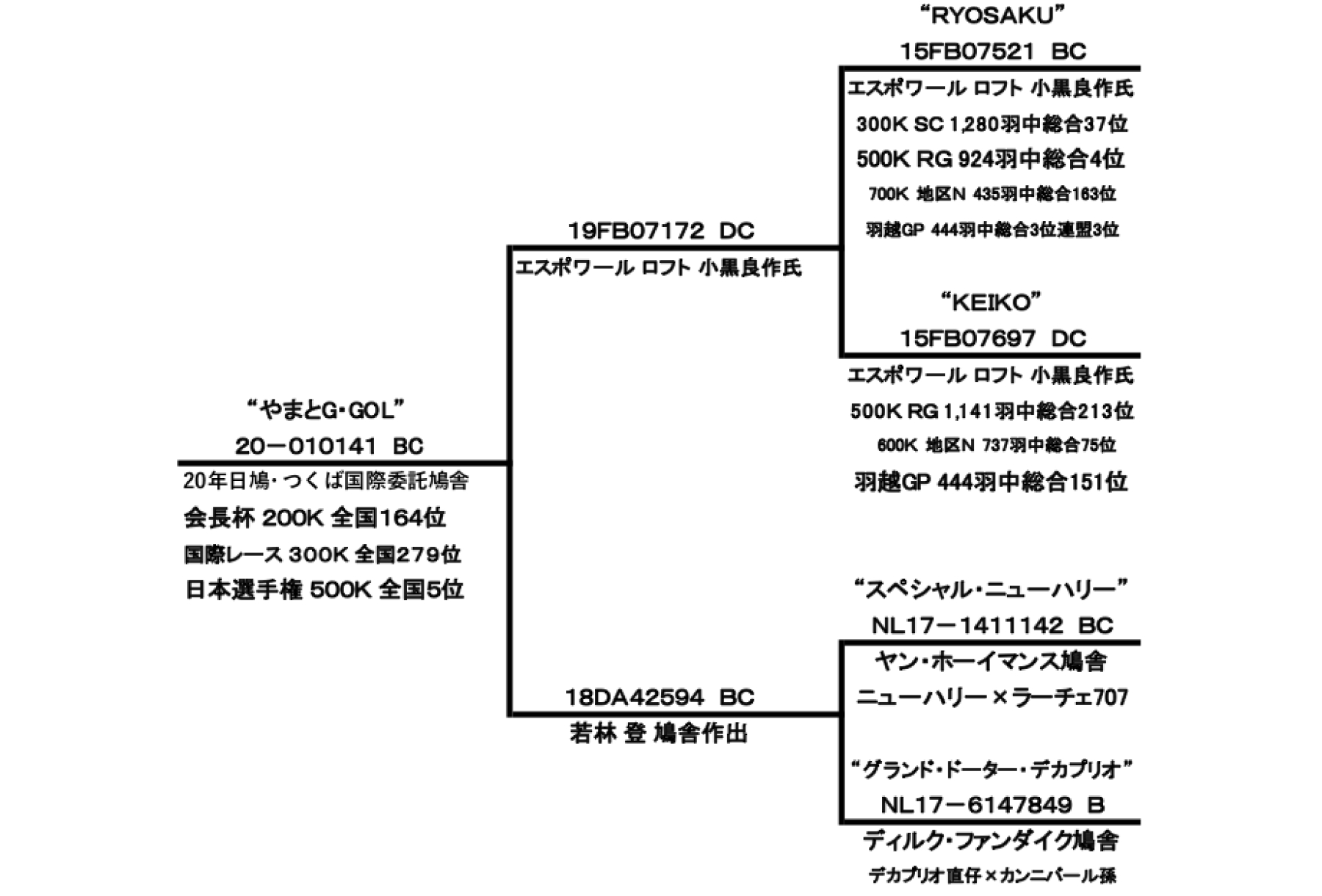 やまとG・GOLの血統書です