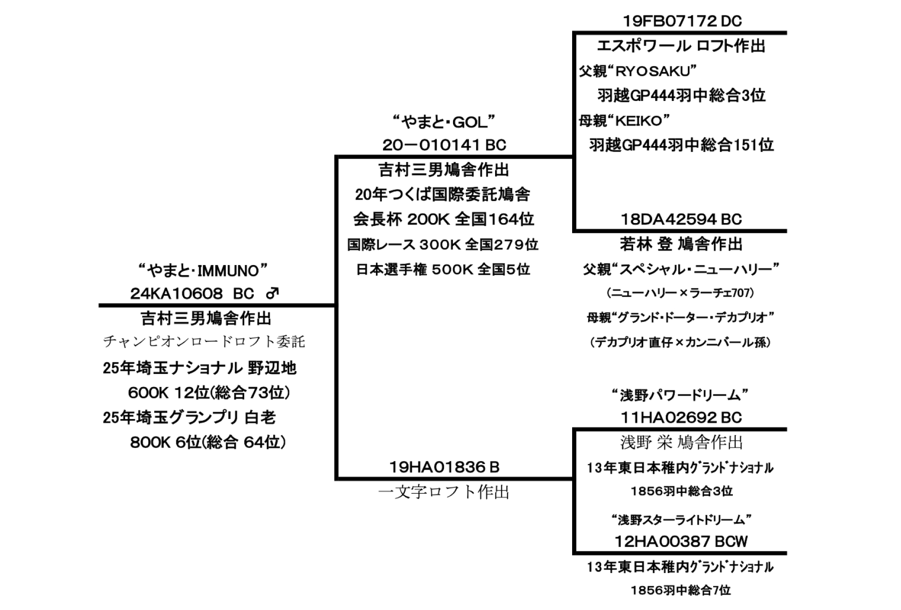 やまとG・IMUNOの血統書です
