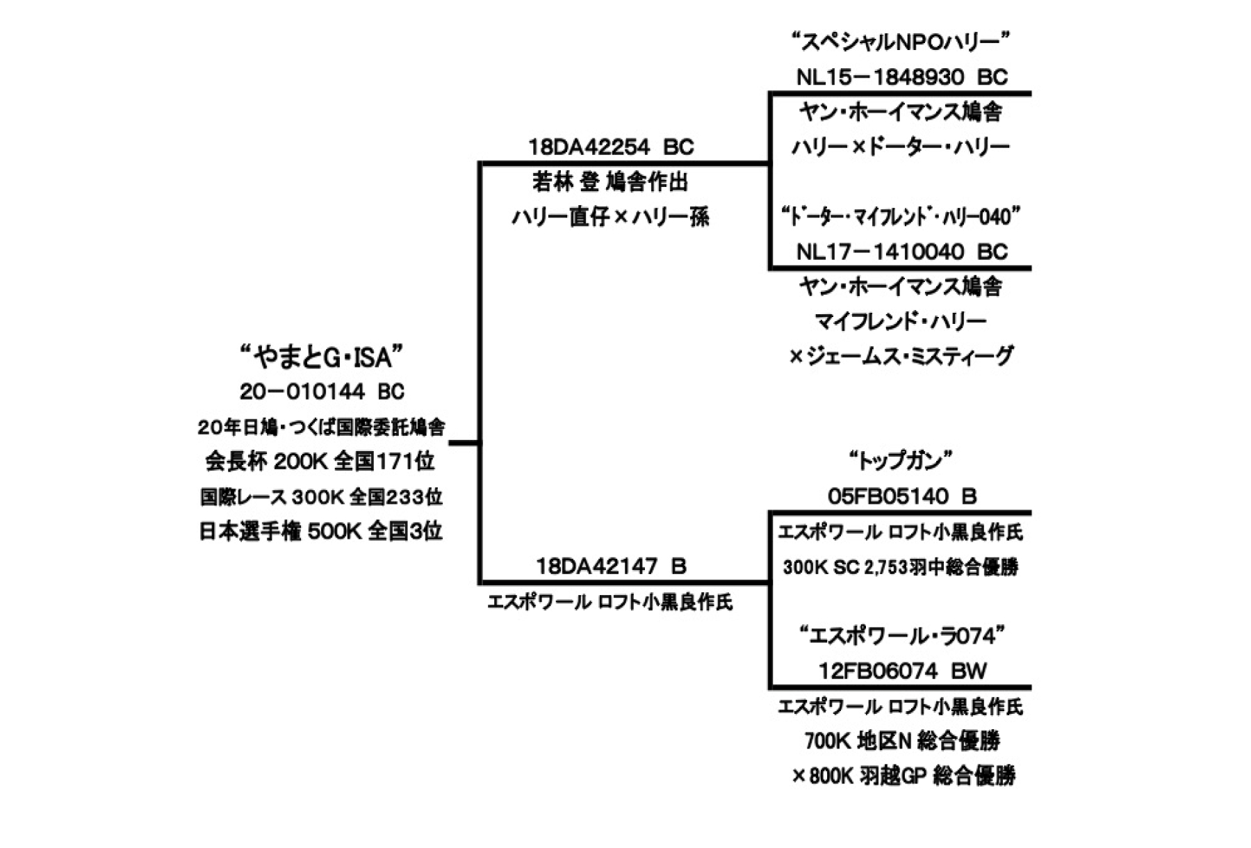 やまとG・ISAの血統書です