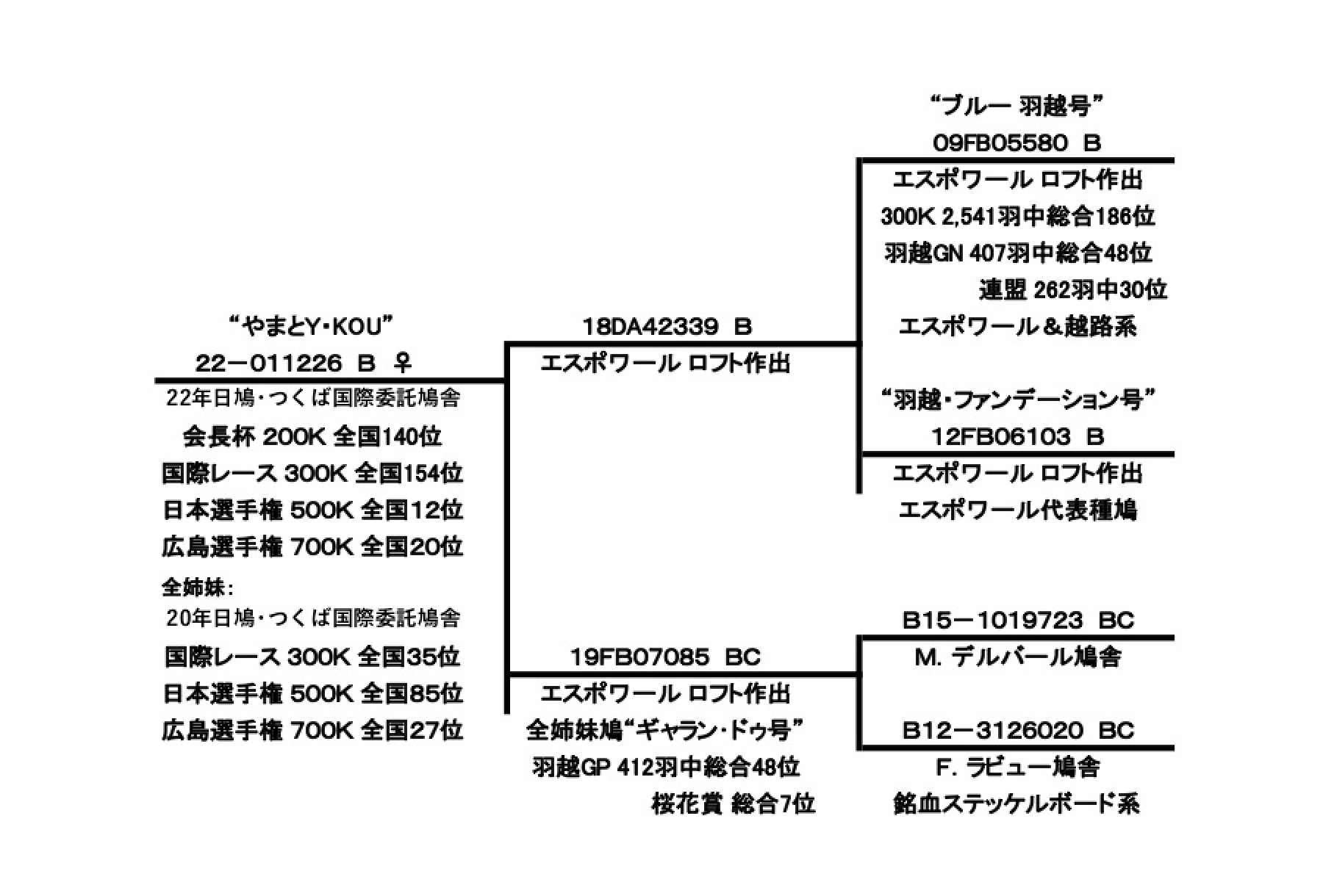 やまとY・kouの血統書です