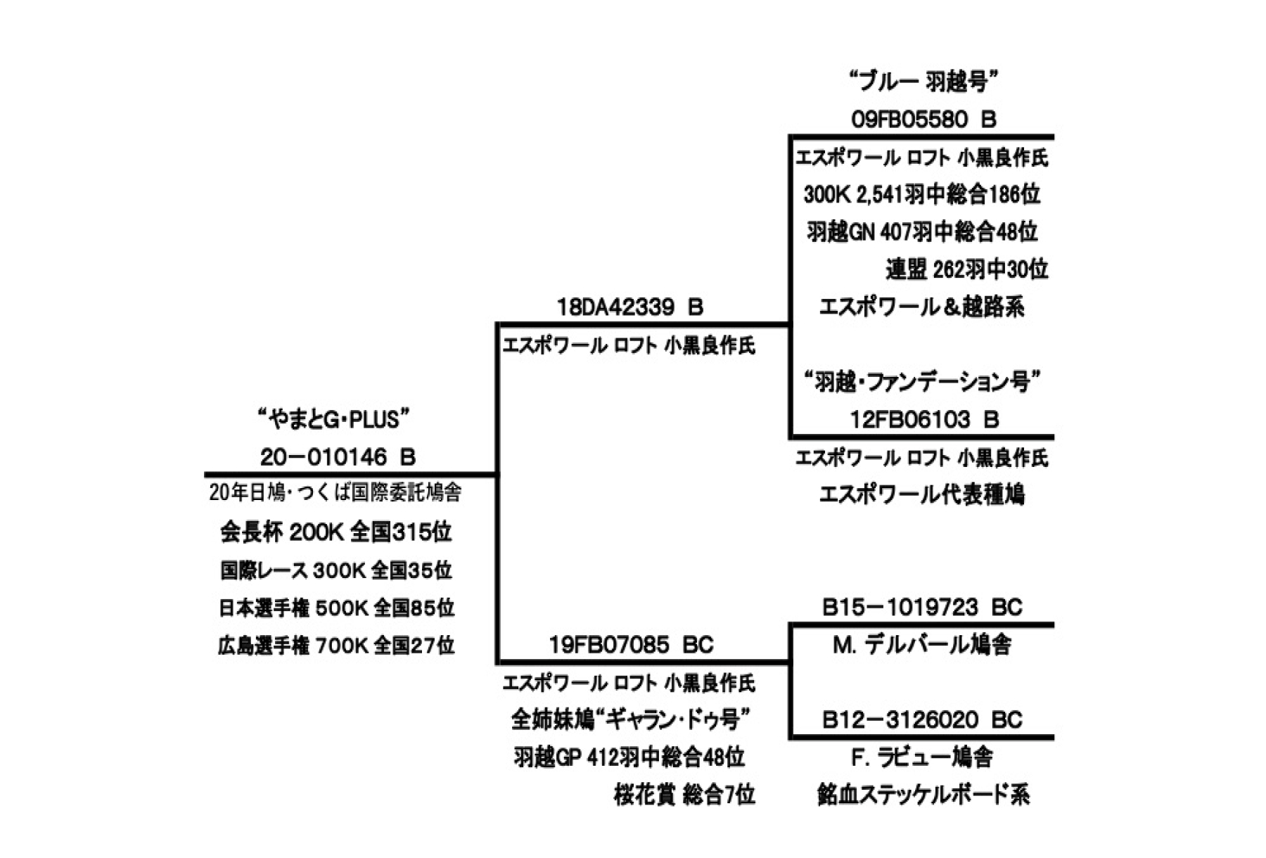 やまとG・plusの血統書です