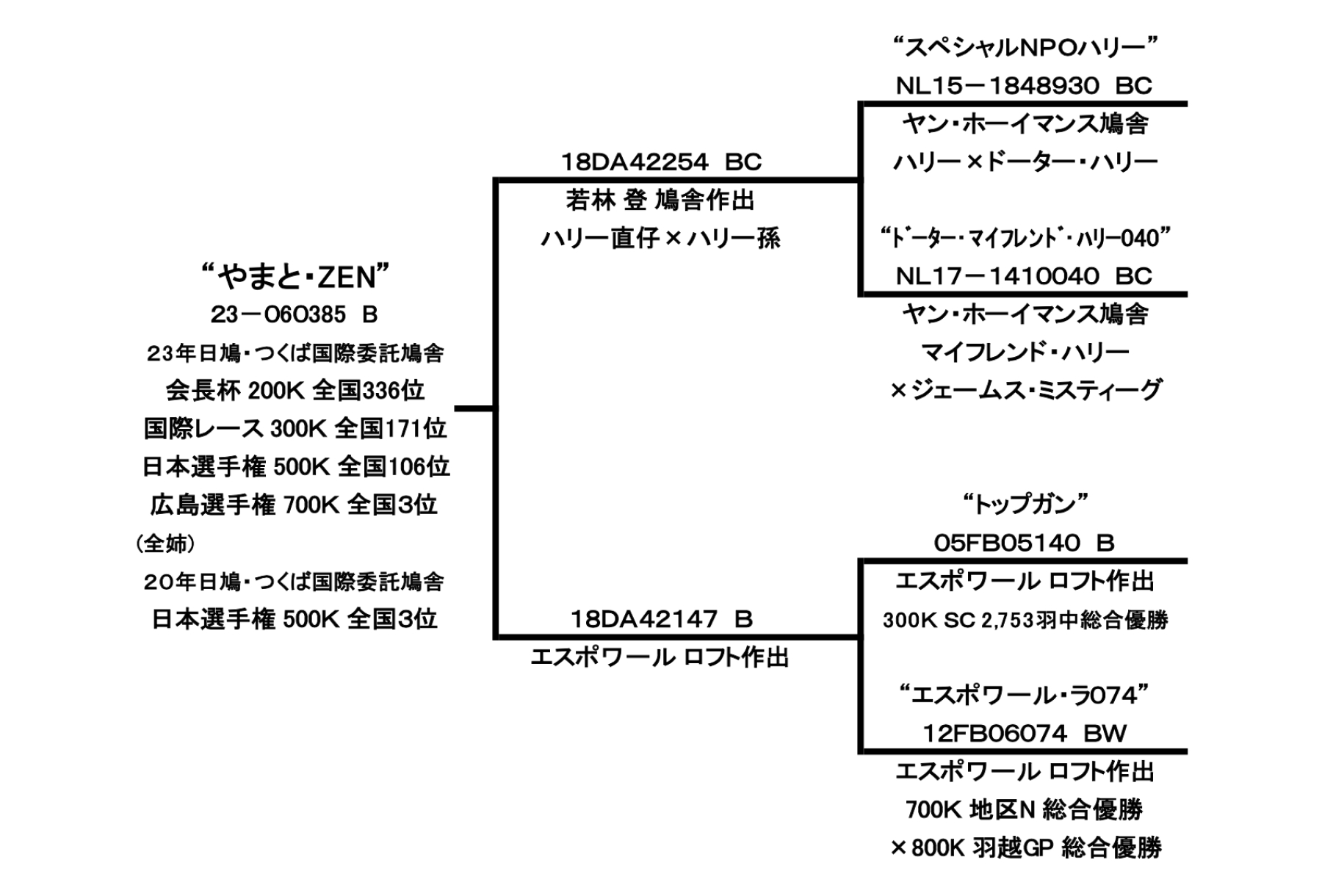 やまと・ZENの血統書です